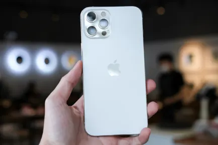 BlueFox Kasino Apl Mudah Alih